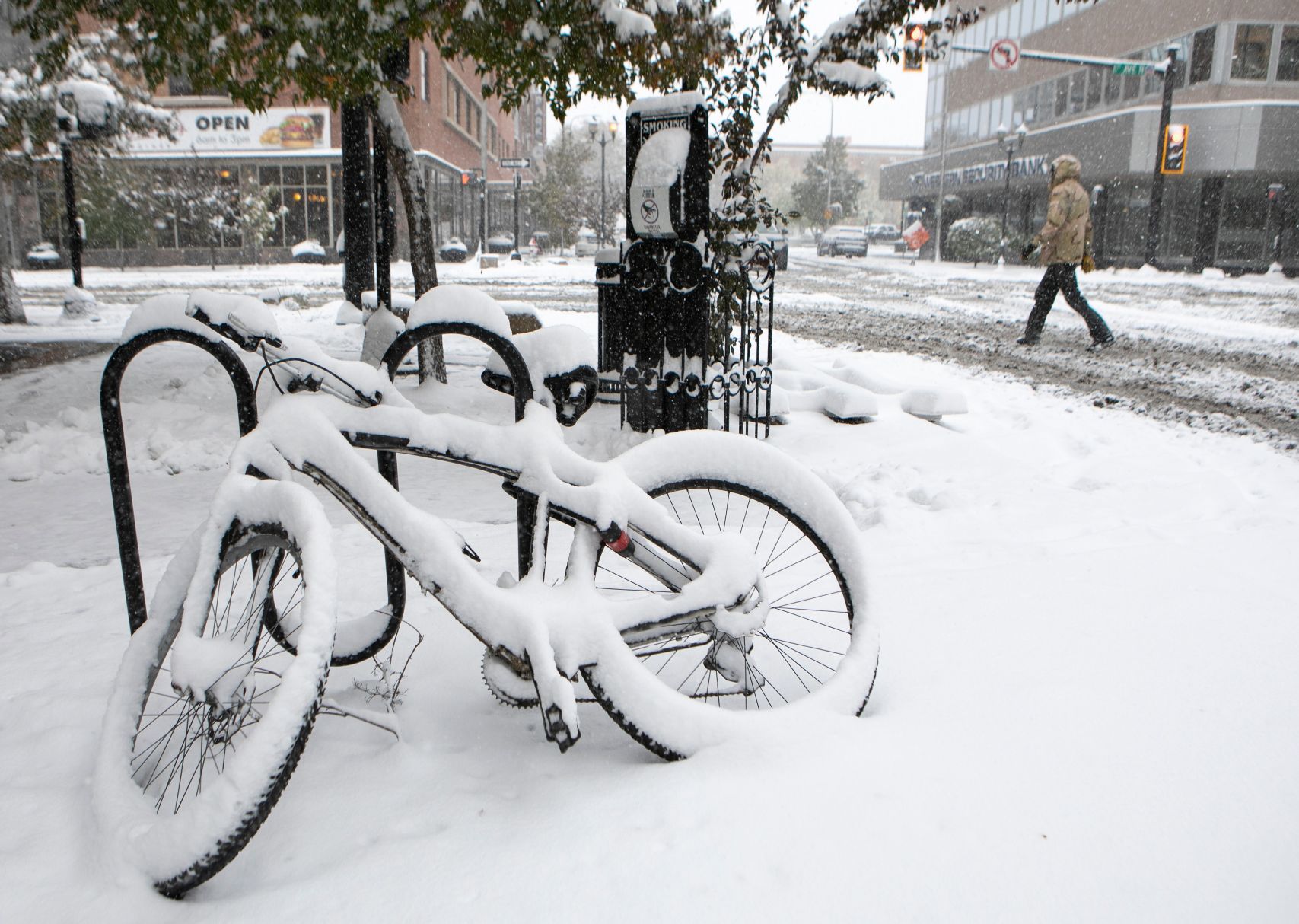 Snowstorm